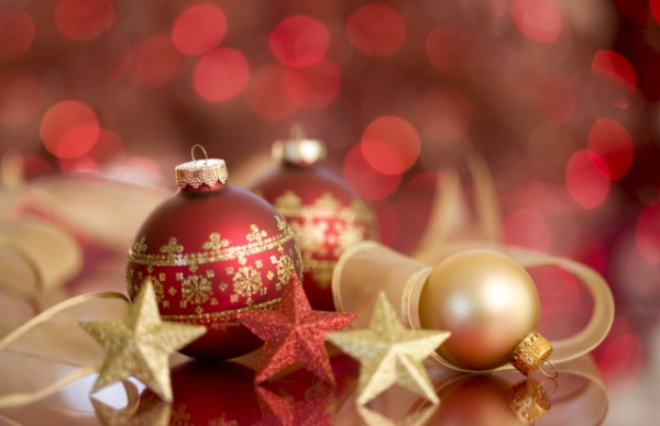 This Festive Season